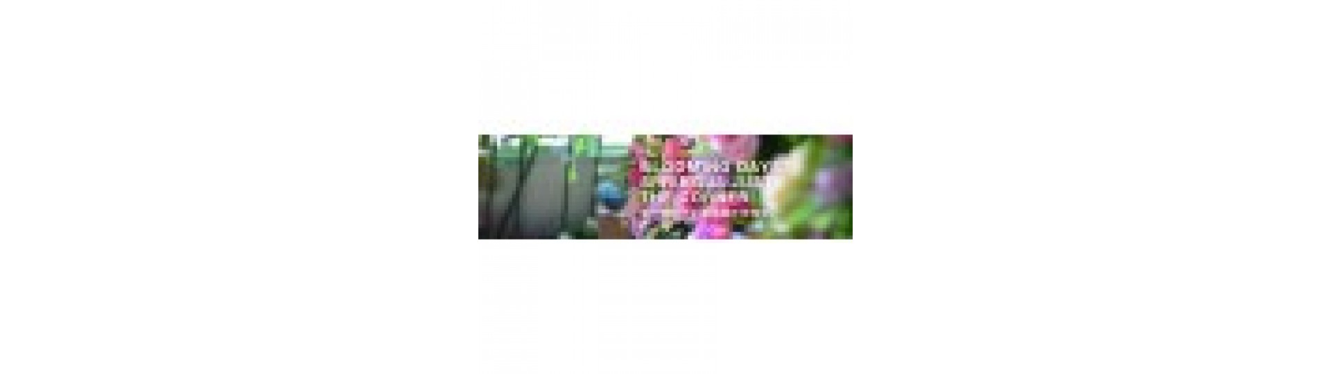 Home Page Slideshow