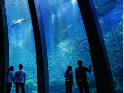 水族馆只能看鱼吗？日本水族馆让你彻底颠覆这一传统观念！