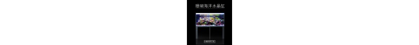 珊瑚海 珊瑚海